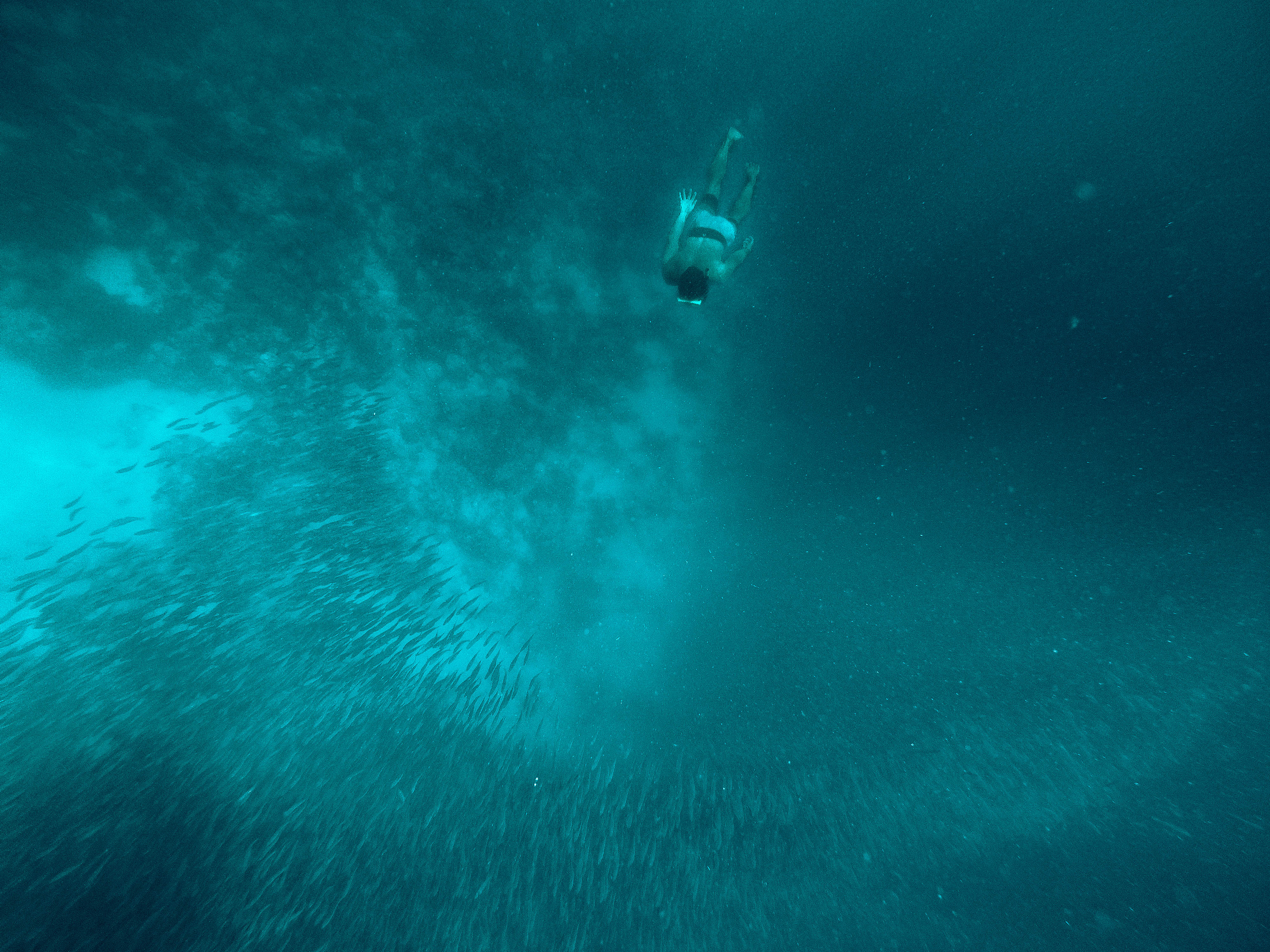 UnderwaterAlex1.jpg