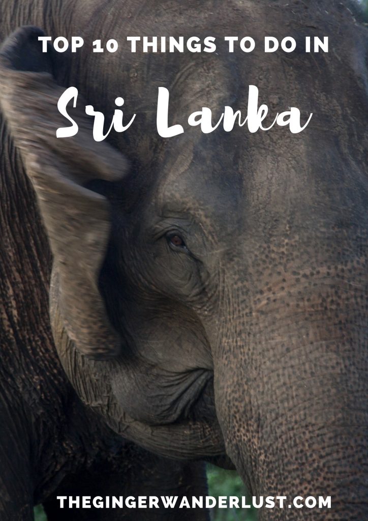 Top 10 things to do in Sri Lanka - The Ginger Wanderlust