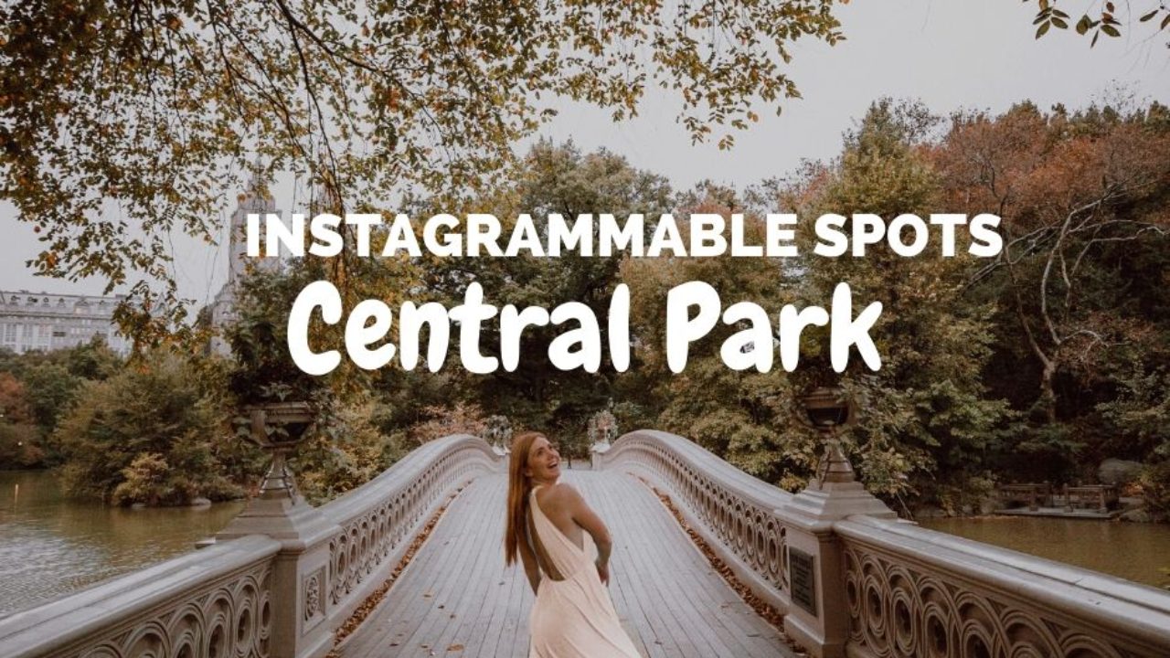 Hoang D on Instagram: “Chilling in Central Park”