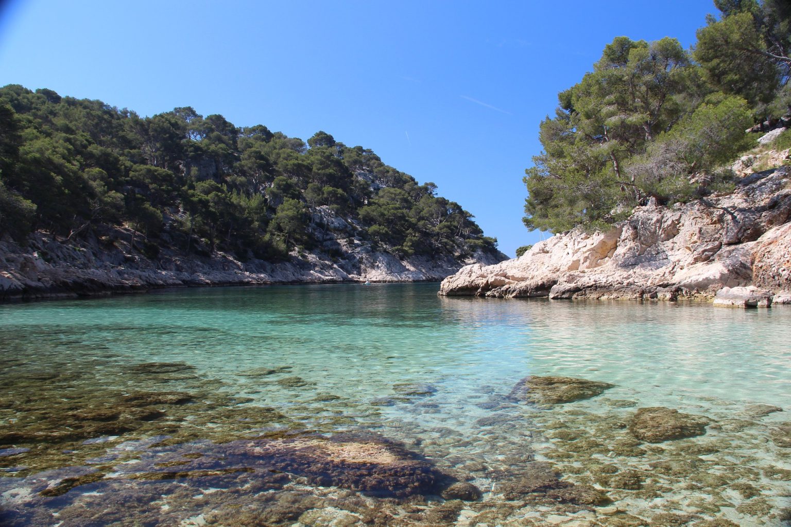 How to get to calanque d’en vau (best calanques to visit) - The Ginger ...