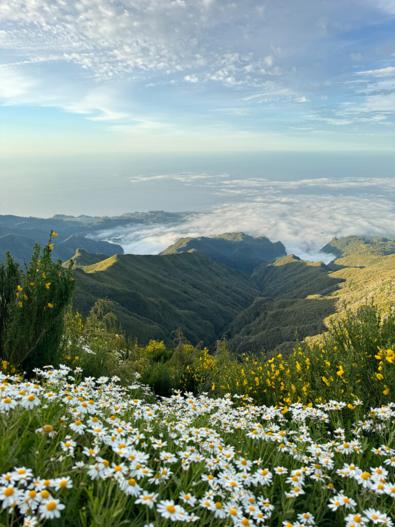 Best hikes in Madeira - Vereda do Pico Ruivo: A Perfect Sunset Hike