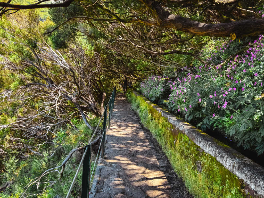 Best hikes in Madeira - PR6 25 Fontes & Levada do Risco