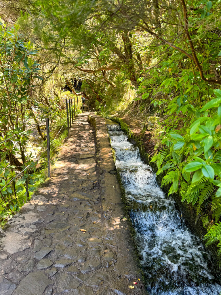 Best hikes in Madeira - PR6 25 Fontes & Levada do Risco