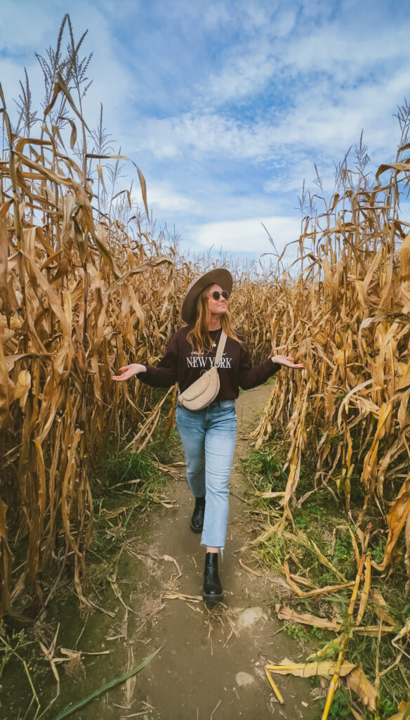 Fall in New England - top things to do in Stowe in Fall - Corn maze