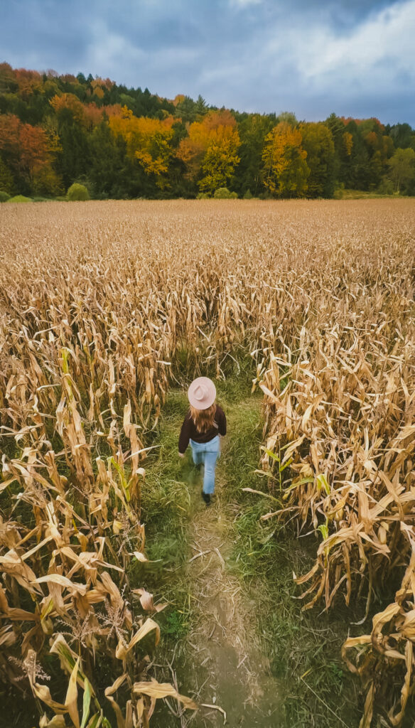 Fall in New England - top things to do in Stowe in Fall - Corn maze